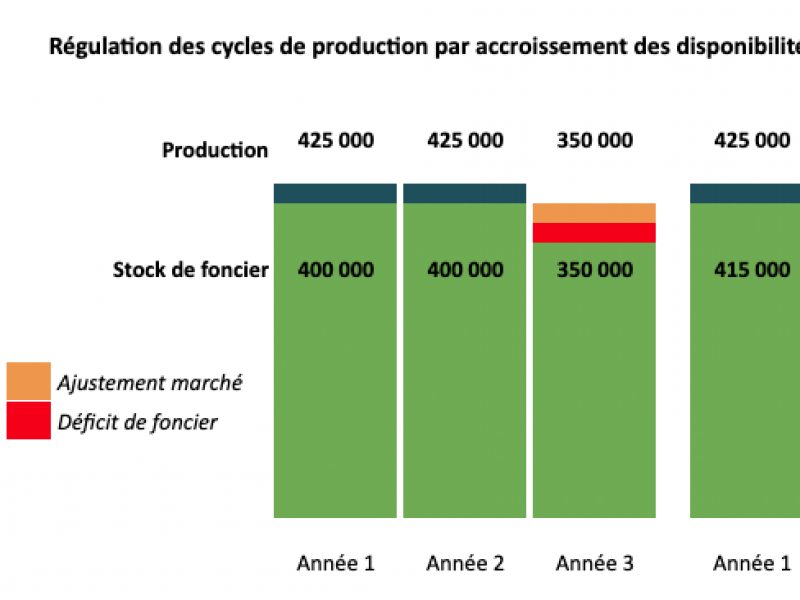 Visuel - Graphe